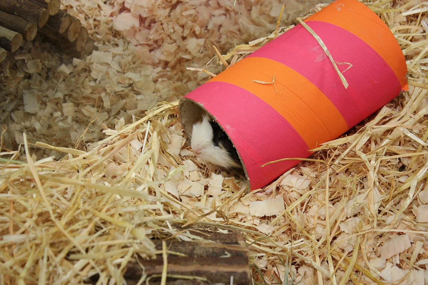 لوله بازی جویدنی اورجینال Critters Choice Chube، کاغذ پوستی گیاهی طبیعی، نژادهای کوچک، بزرگ