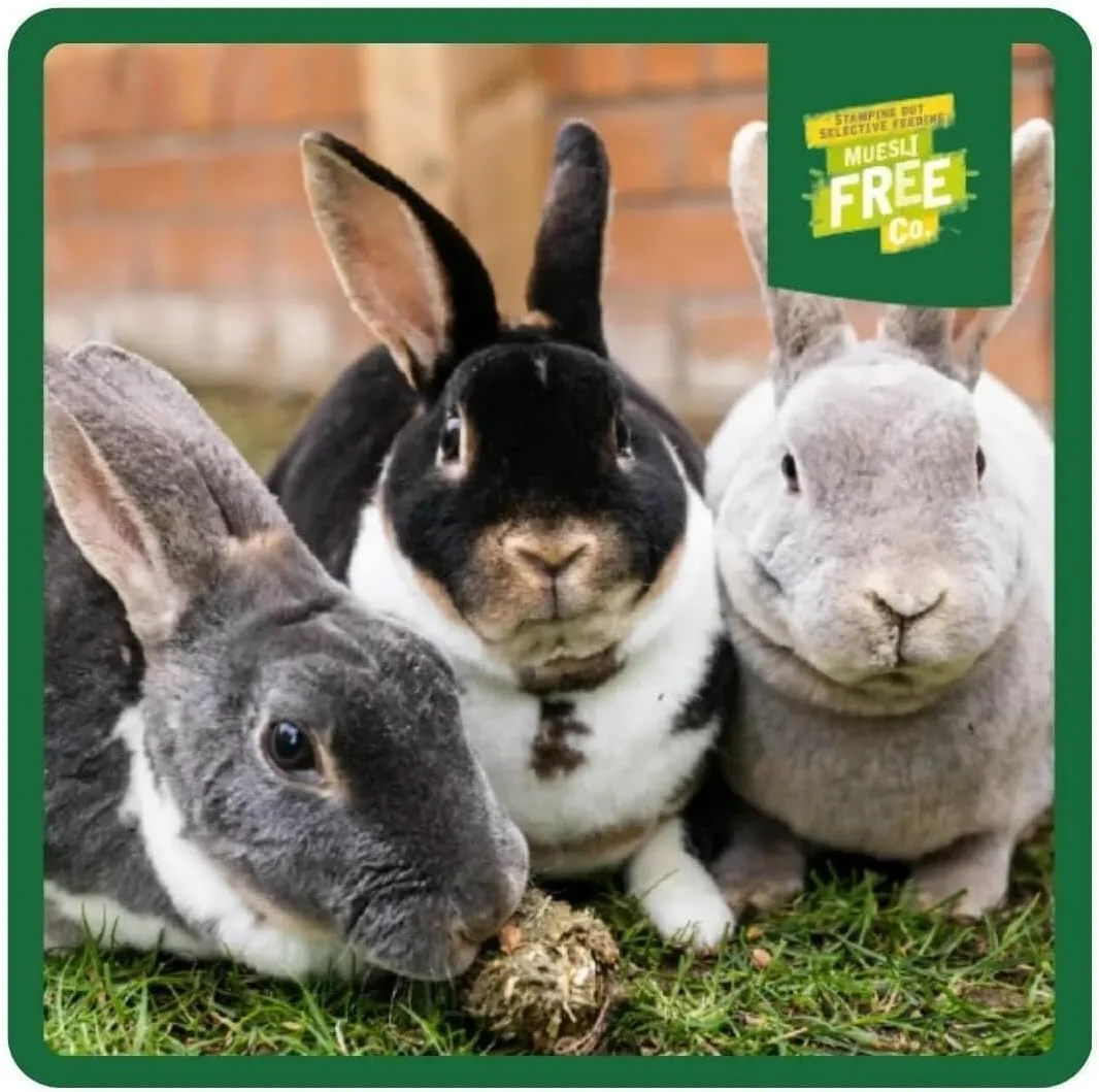 غذای کامل خرگوش بالغ Burgess Excel با کرن‌بری و آویشن - 1.5 کیلوگرم