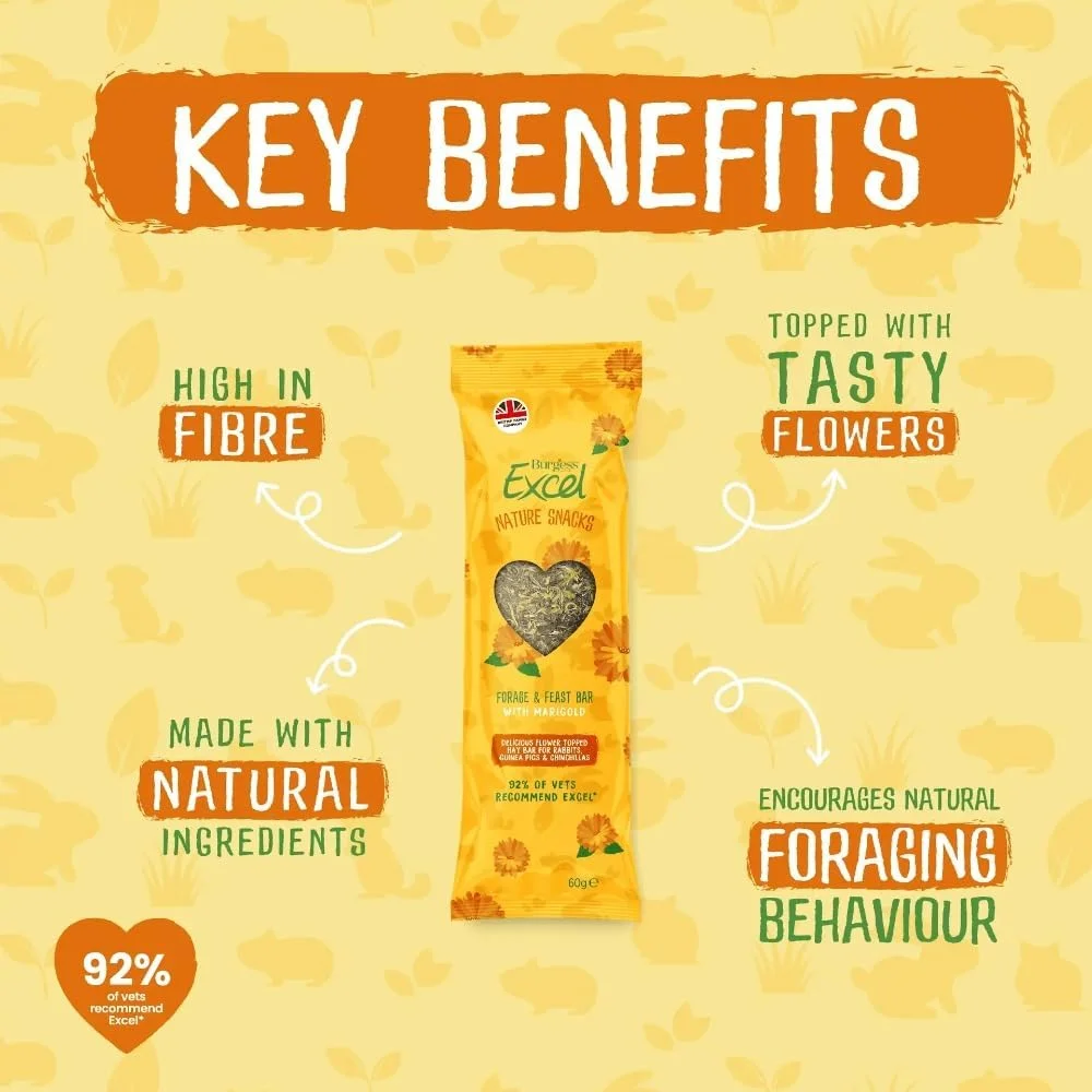 تشویقی یونجه و گل همیشه بهار Burgess Excel Forage & Feast برای حیوانات کوچک - 60 گرم