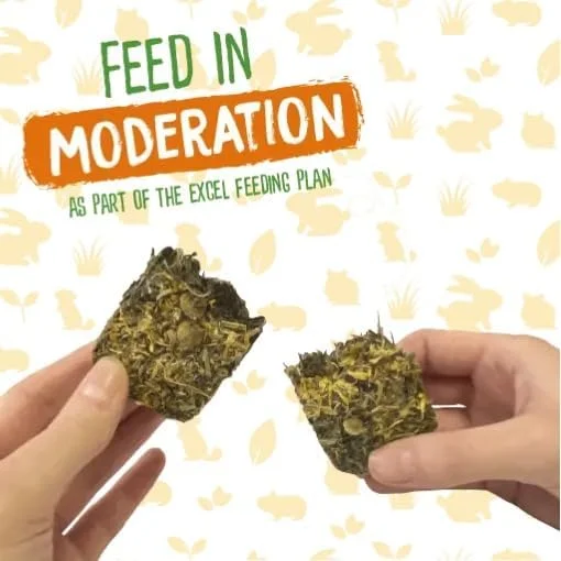 تشویقی یونجه و گل همیشه بهار Burgess Excel Forage & Feast برای حیوانات کوچک - 60 گرم