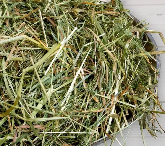 یونجه علف تازه خرگوش بانی نیچر 3 کیلوگرمی