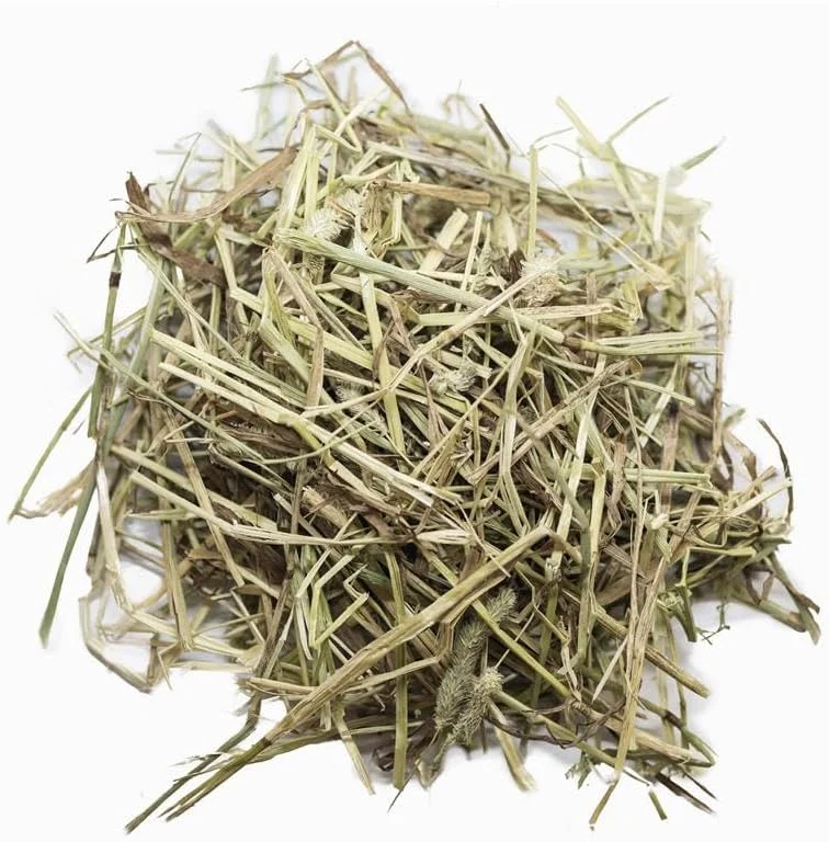 یونجه تیموتی انگلیسی Bunny Bistro، غذای طبیعی ممتاز برای خرگوش و خوکچه هندی (2 کیلوگرم)