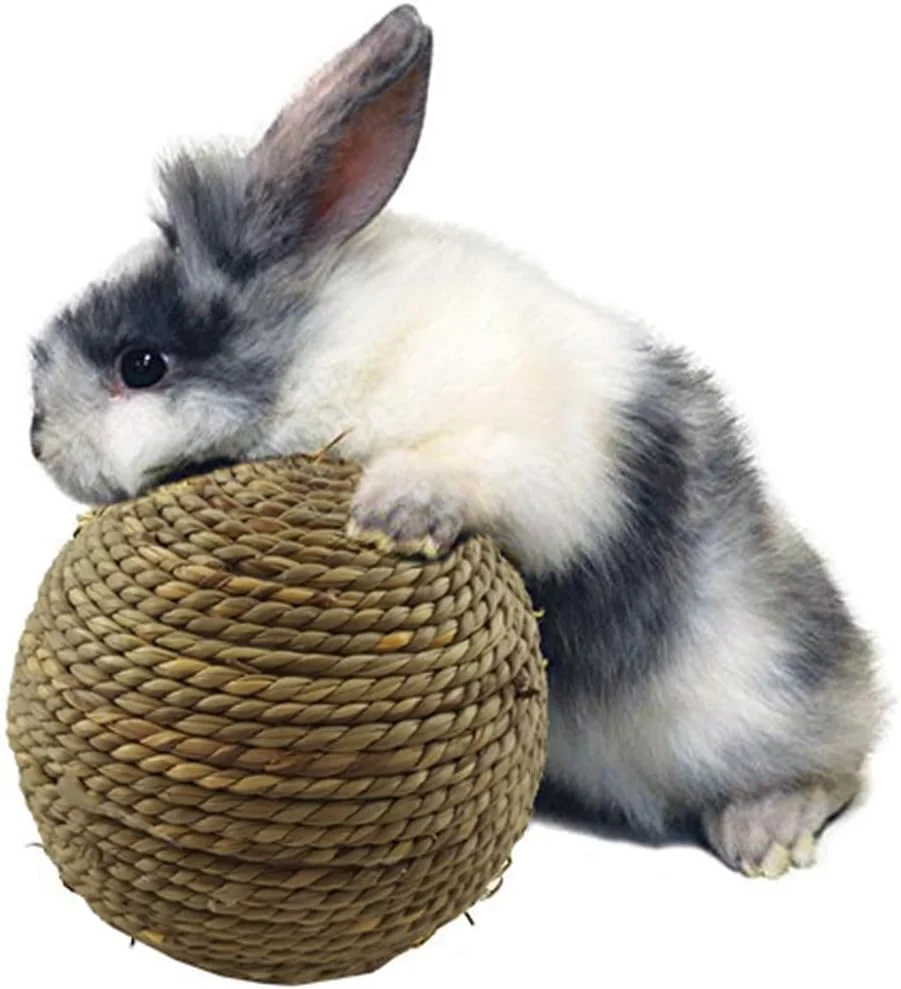 اسباب بازی جویدنی خرگوش - اسباب بازی های طبیعی برای ساییدن دندان خرگوش، لوازم خرگوش برای مراقبت، بازی، غلتاندن، مناسب اتاق، پاسیو، باغ، خوراک دهی، مزرعه، خانه، حیاط خلوت، داخل خانه