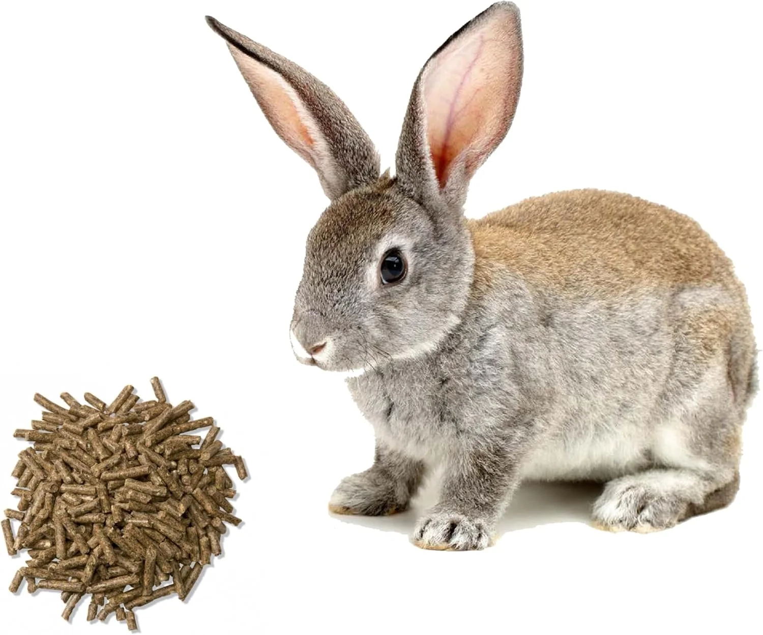 غذای خرگوش گلد پلت بایو بلومز آگرو ایندیا پرایوت لیمیتد | 5 کیلوگرم