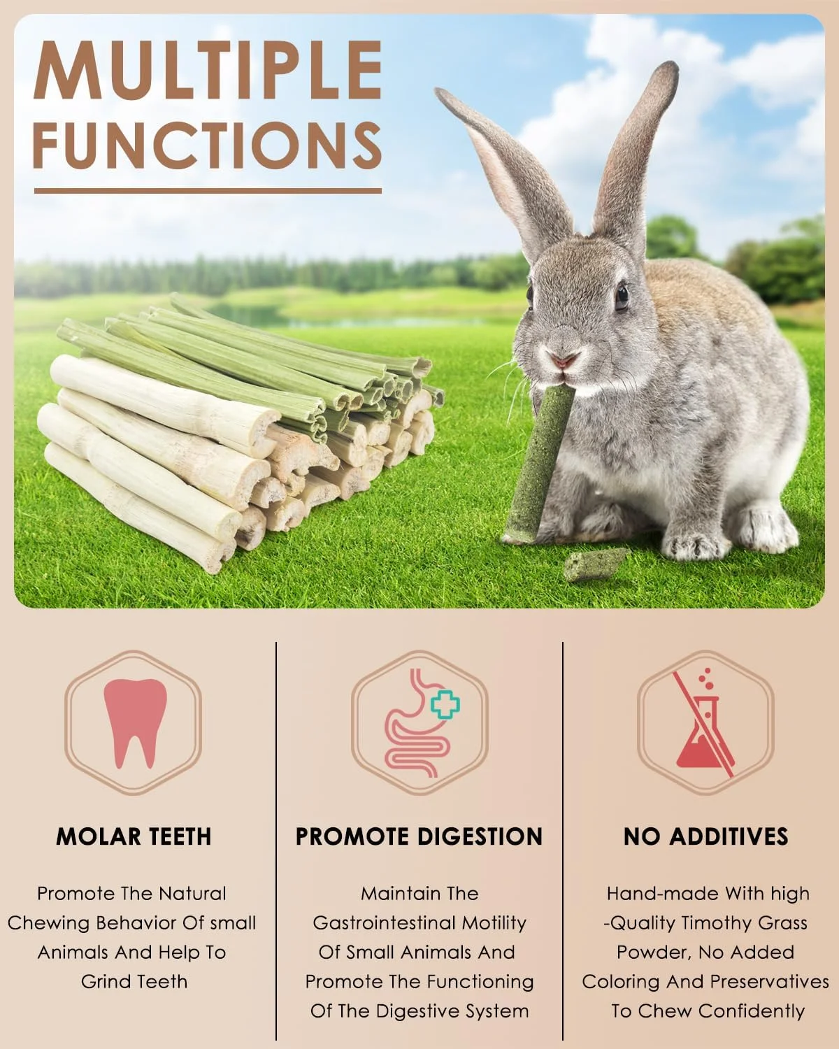 بیساپ - 40 عدد چوب جویدنی خرگوش، 20 عدد بامبو شیرین و 20 عدد ساقه پاپایا برای خرگوش ها