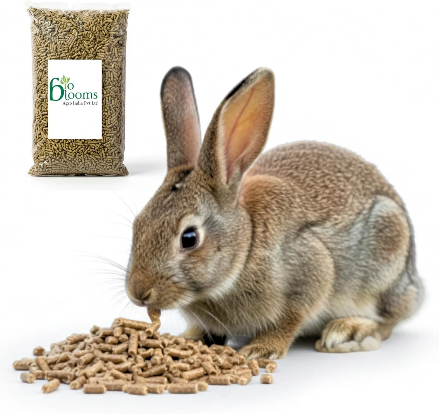 غذای مکمل مغذی پلت خرگوش بالغ BIO BLOOMS AGRO INDIA PRIVATE LIMITED (۵ کیلوگرم)