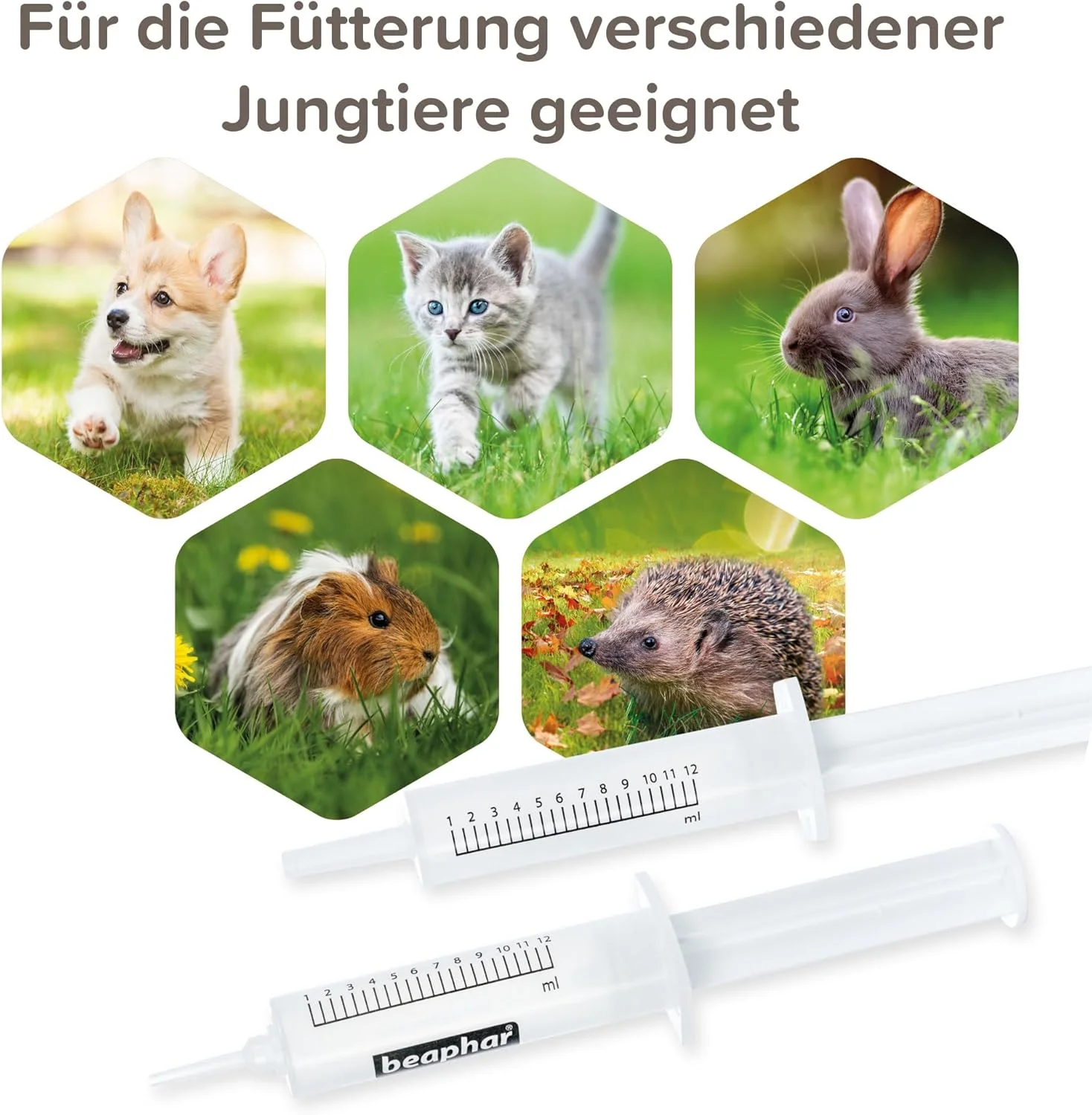 سرنگ تغذیه لاکتول بیفار، بسته 2 عددی