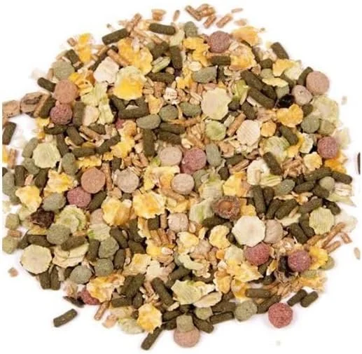 غذای خوکچه هندی Beaphar Xtravital - 1 کیلوگرم