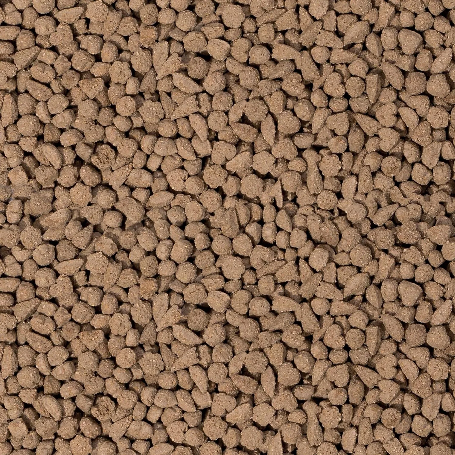 غذای کامل خوکچه هندی Beaphar Care+ وزن 1.5 کیلوگرم