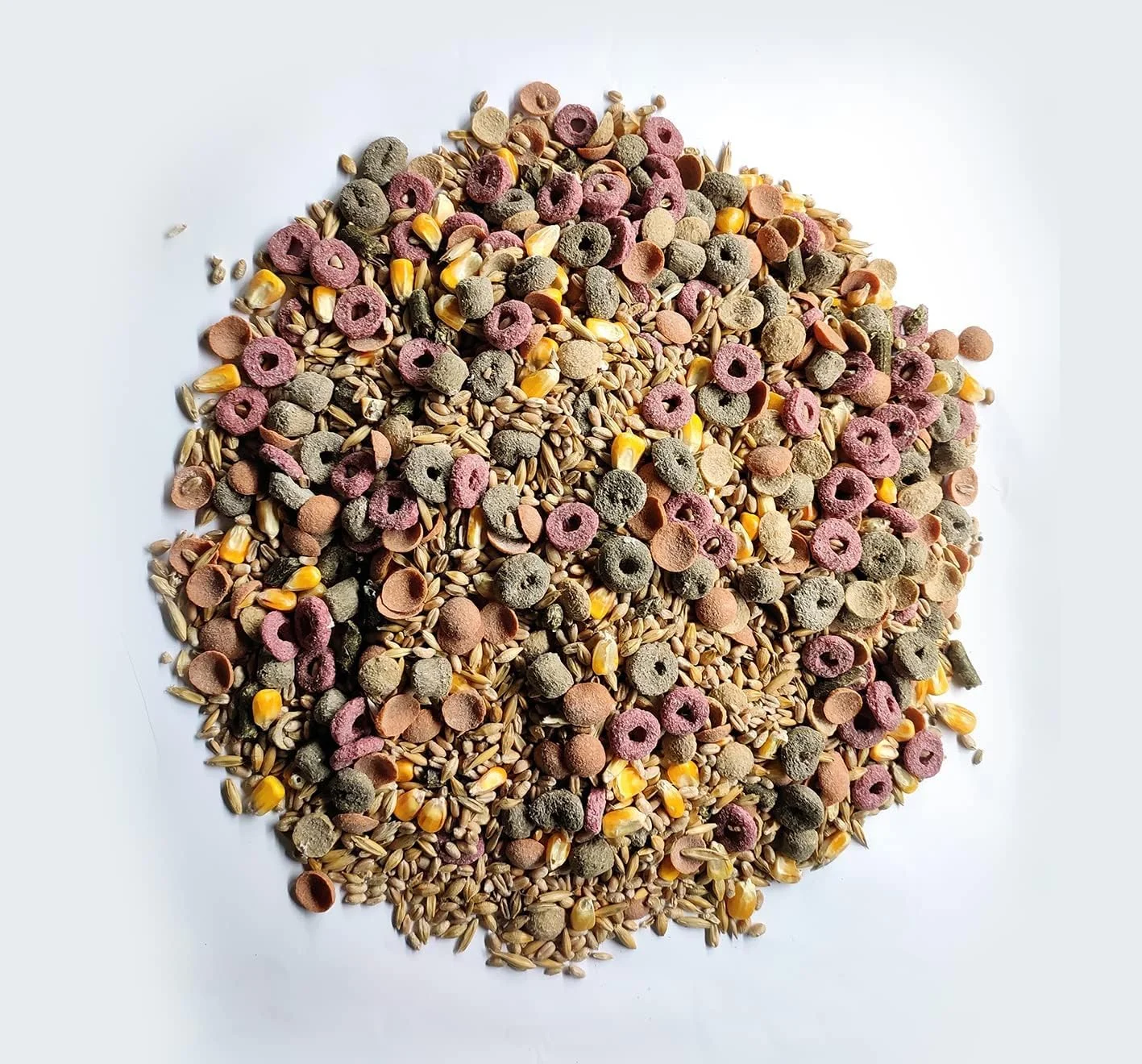 غذای کامل خرگوش و جوندگان آکوا نیچر، مغذی، سالم و خوشمزه برای خرگوش های بالغ و جوان (500 گرم)