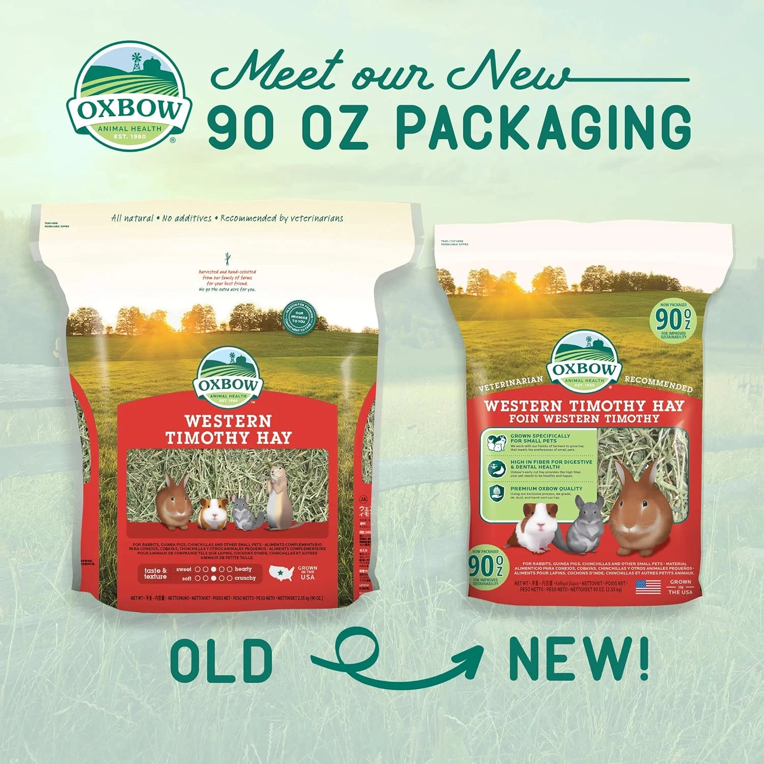 یونجه تیموتی غربی Oxbow Animal Health 114411/194 مناسب برای خرگوش، خوکچه هندی و چینچیلا، 255 گرم