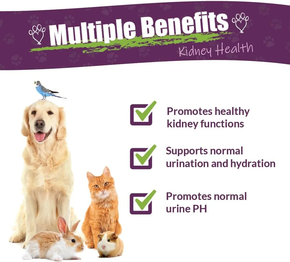 AMBER NATURALZ - احیا کننده کلیه - سلامت کلیه - برای حیوانات خانگی - 1 اونس