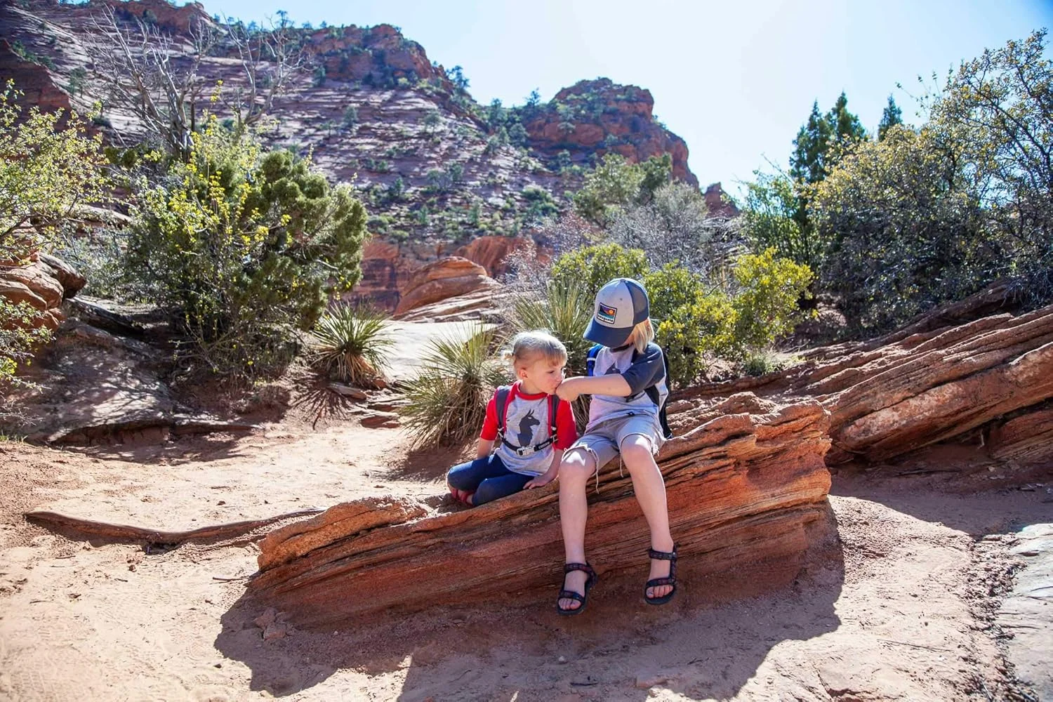 شامل 4 عدد دریچه گاز بزرگ در رنگ های مختلف شامل 4 عدد دریچه گاز بزرگ در رنگ های مختلف
