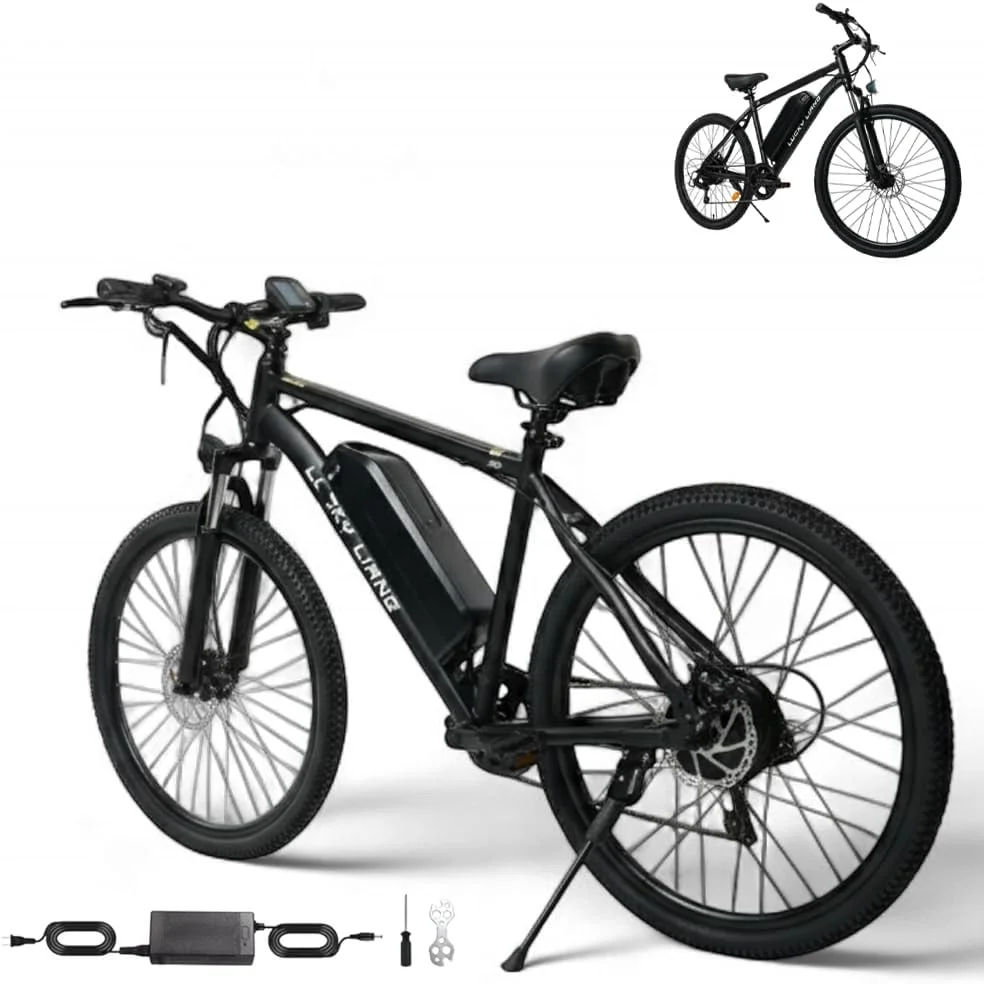 دوچرخه برقی DS01، موتور 500 وات (حداکثر 750 وات)، باتری 48 ولت 13 آمپر ساعت، سرعت 45 کیلومتر در ساعت، برد 45 کیلومتر، لاستیک 26 اینچی، ترمز دیسکی، فریم فولاد کربنی - دوچرخه برقی قدرتمند برای بزرگسالان