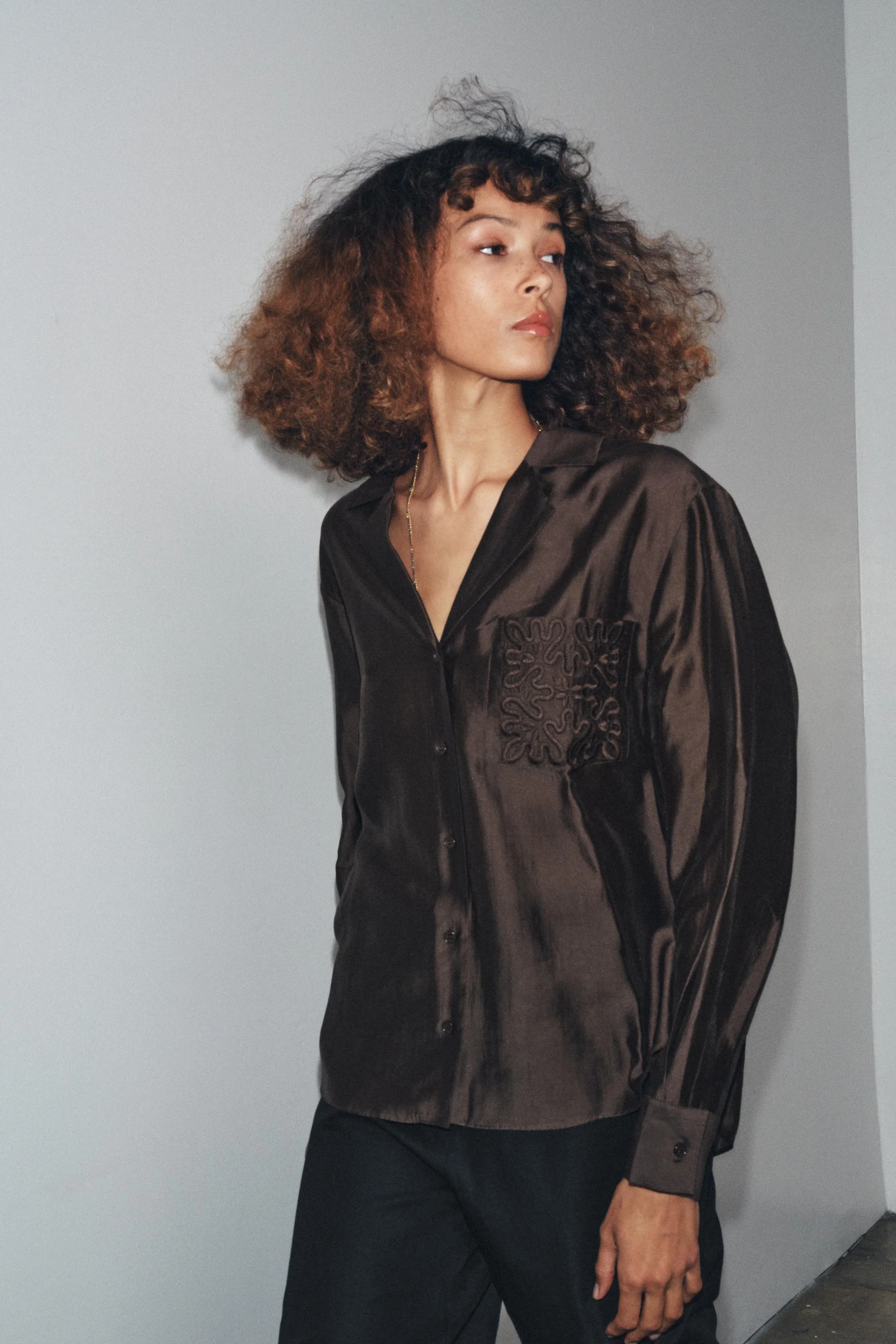 پیراهن جیب گلدوزی شده ZW COLLECTION