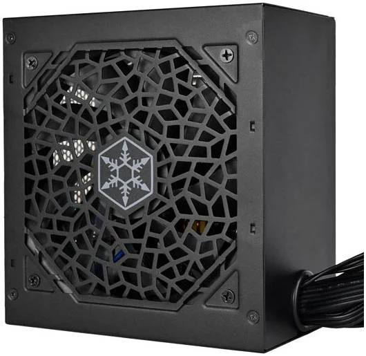 منبع تغذیه غیر ماژولار سیلوراستون استرایدر 650 EFA، توان 650 وات، بازدهی 80 پلاس، PFC فعال، فن سایلنت 120 میلی‌متری، فرم ATX (PS2)، سطح نویز 18 dBA، 100000 ساعت MTBF، مشکی | SST-ST650-EFA