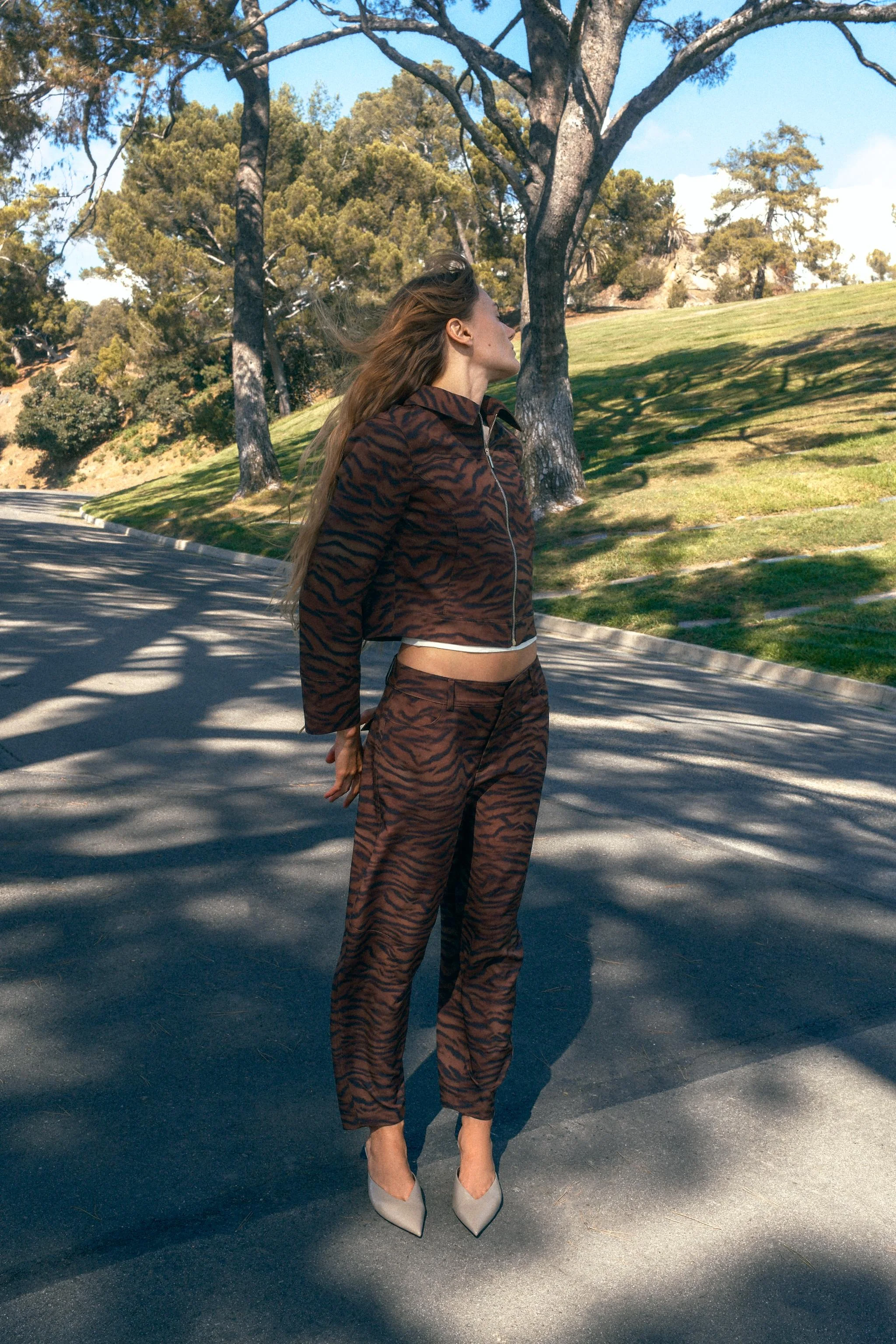 کت با طرح حیوانات