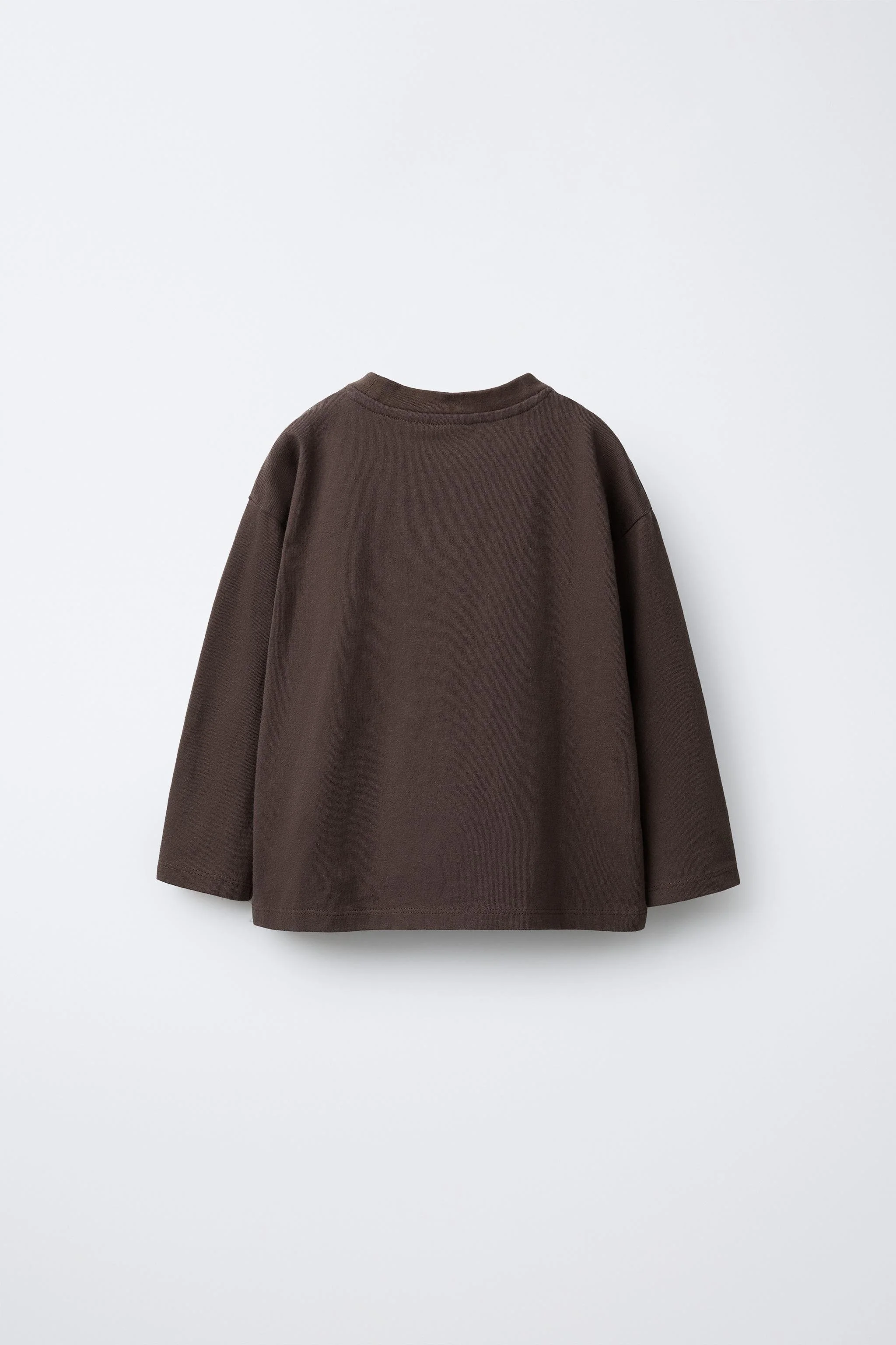 تی شرت پچ طرح کاپیبارا