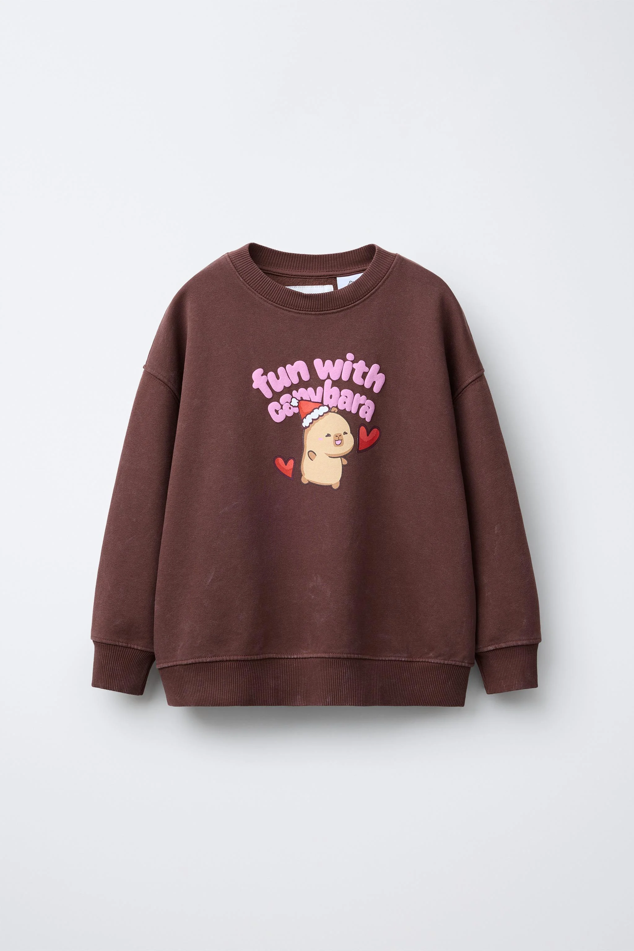 سویشرت طرح‌دار CAPYBARA CAPYFUN ©