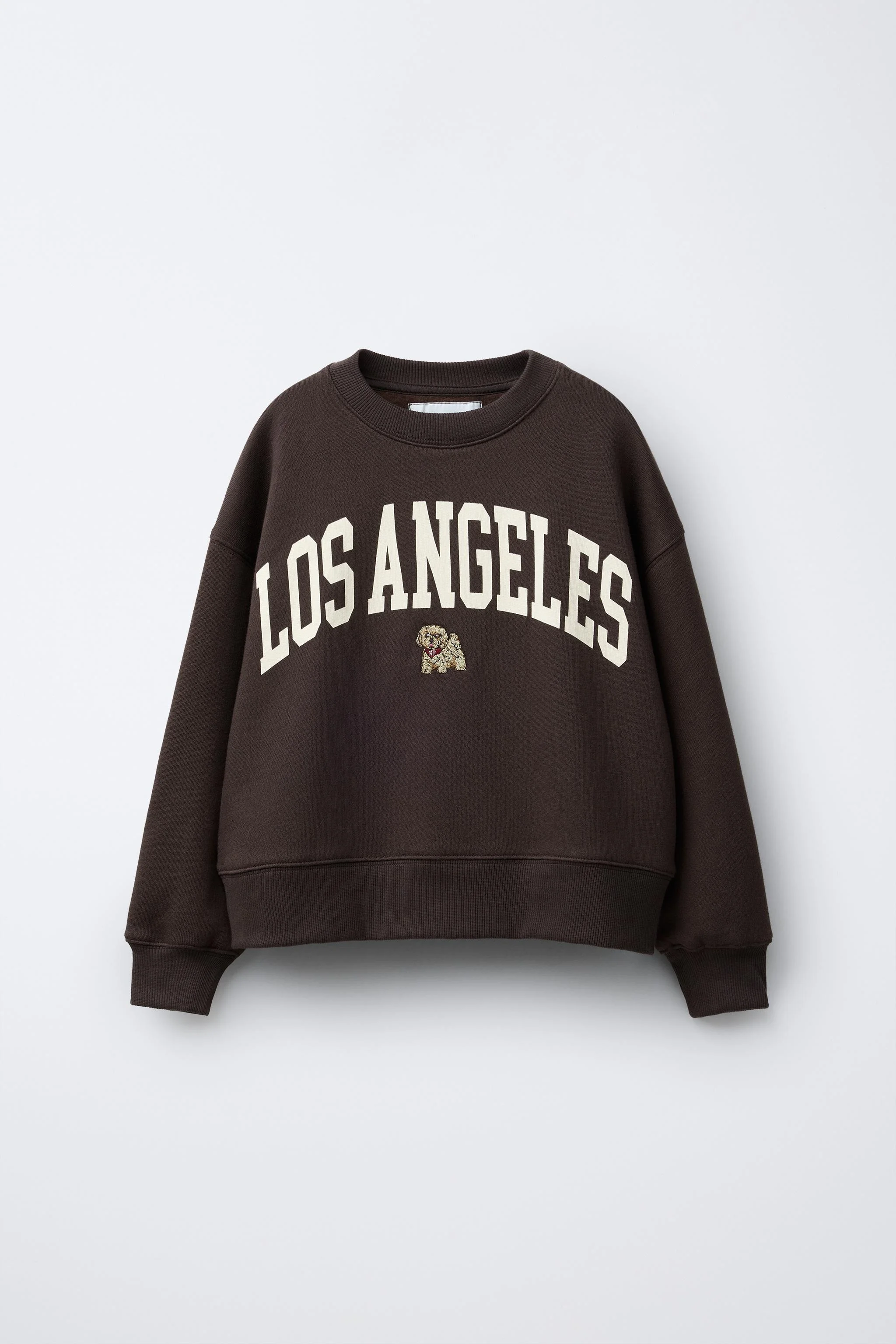 سویشرت گلدوزی شده با طرح توله سگ