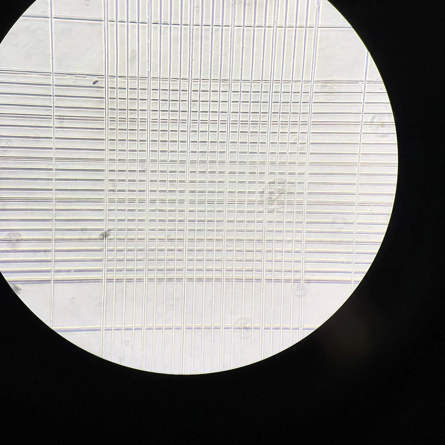 لام محفظه شمارش خون موهوا به همراه 100 لامل