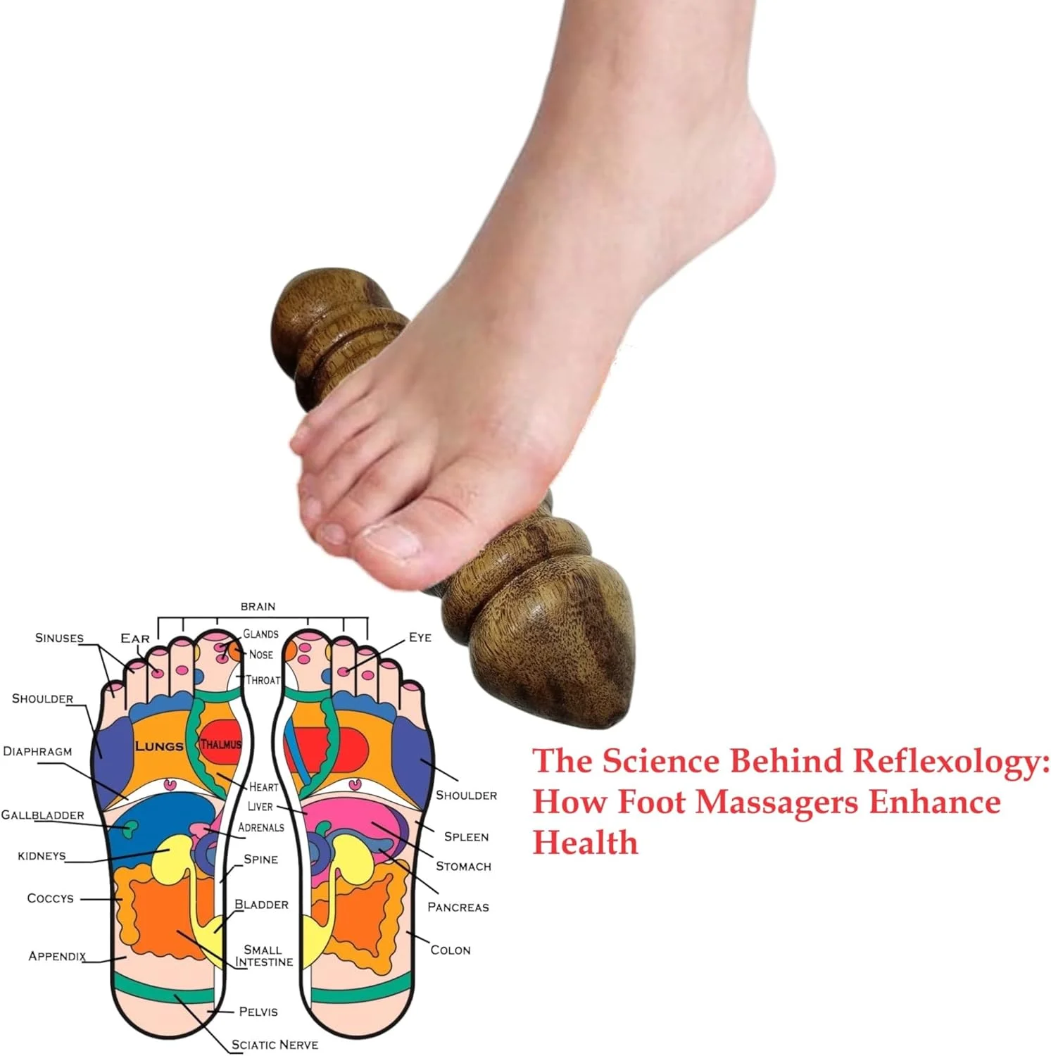 ابزار ماساژ چوبی دو طرفه و چند منظوره / دست ساز / هدیه برای دوستان / کنده کاری چوب ابزار ماساژ چوبی دو طرفه و چند منظوره / دست ساز / هدیه برای دوستان / کنده کاری چوب