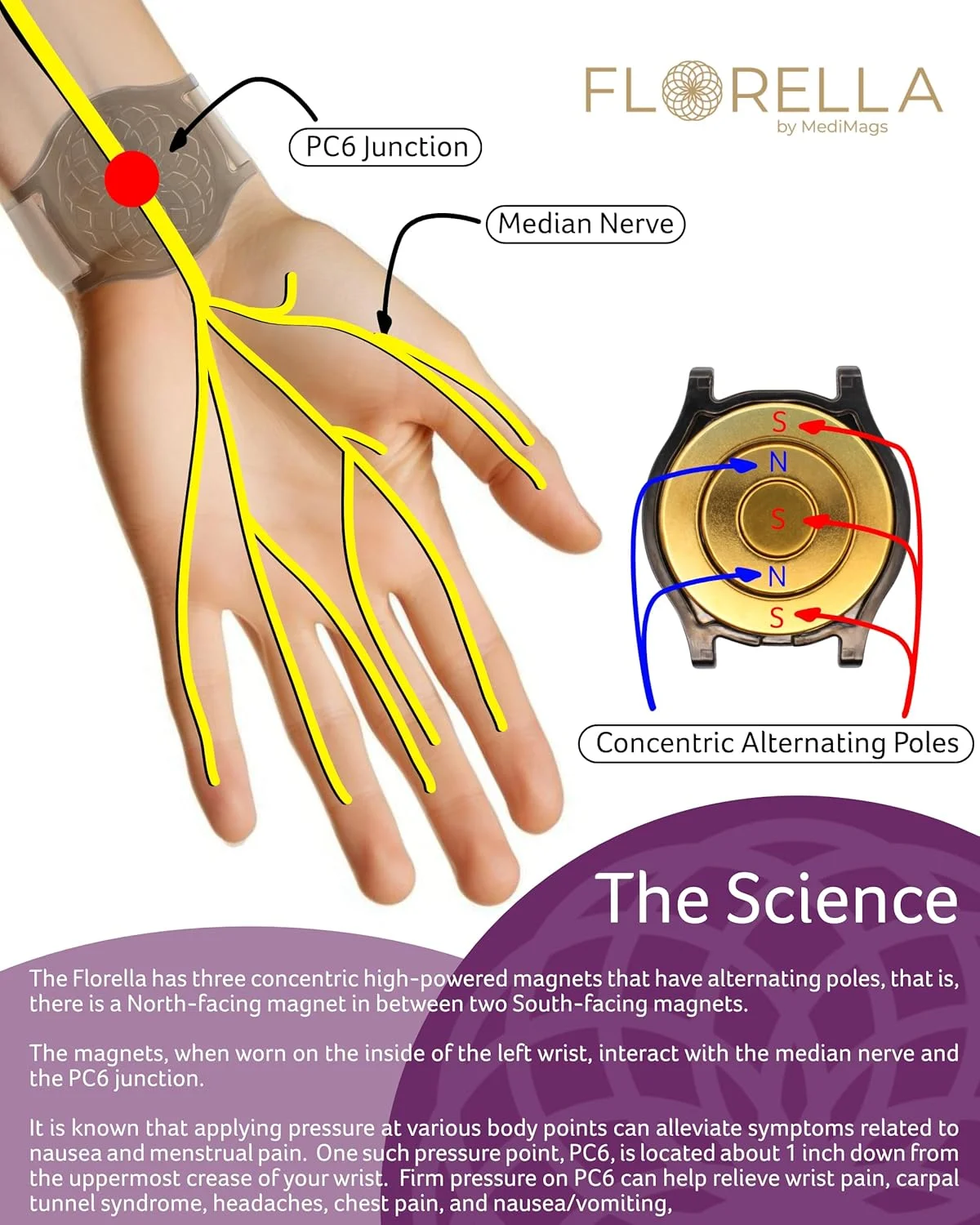 دستگاه تسکین درد قاعدگی MediMags - تسکین طبیعی برای یک زندگی در حرکت - دستگاه درمانی Florella به کاهش درد ناشی از گرفتگی های قاعدگی کمک می کند.