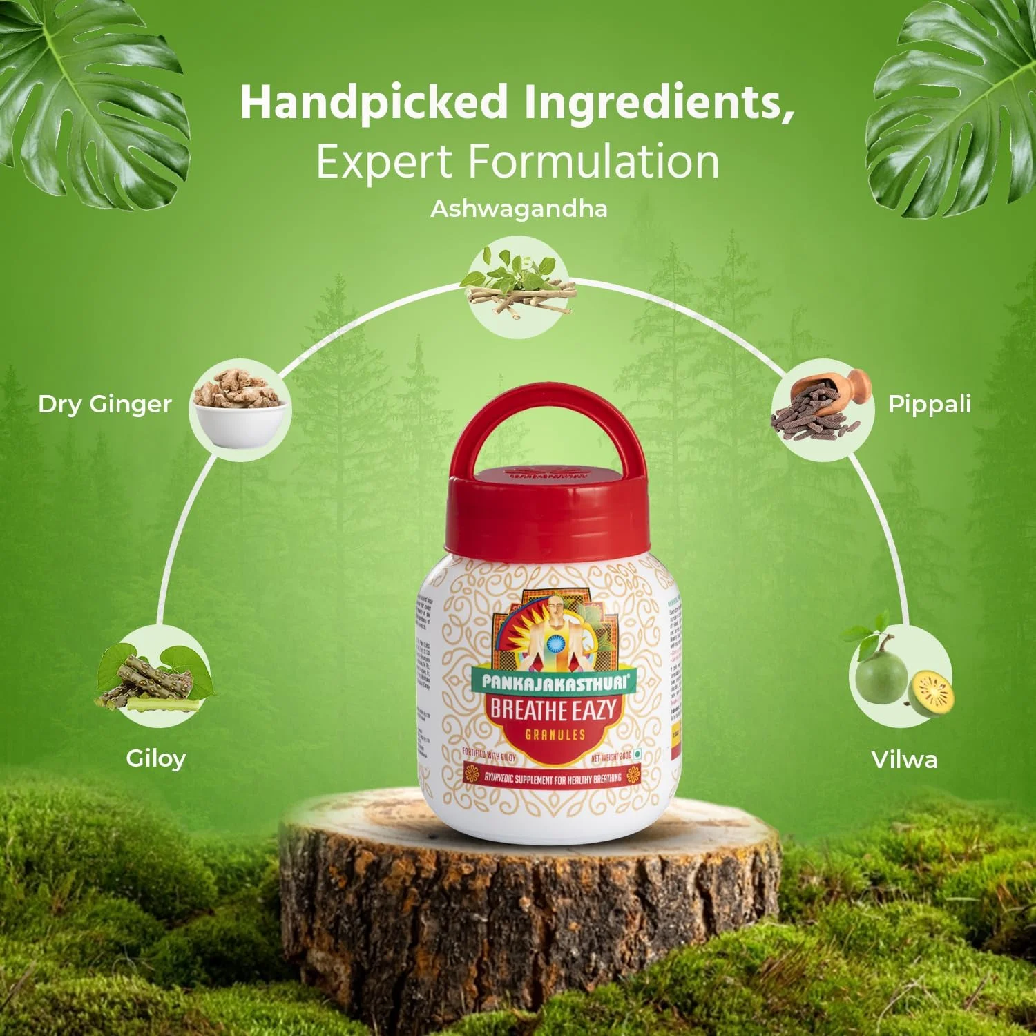 گرانول تنفسی آسان پانکاجاکاستوری 100% آیورودیک برای سرفه و سرماخوردگی، سینوزیت، اختلالات تنفسی | تقویت کننده طبیعی ایمنی | ترکیبی منحصر به فرد از 17 گیاه آیورودیک - 200 گرم