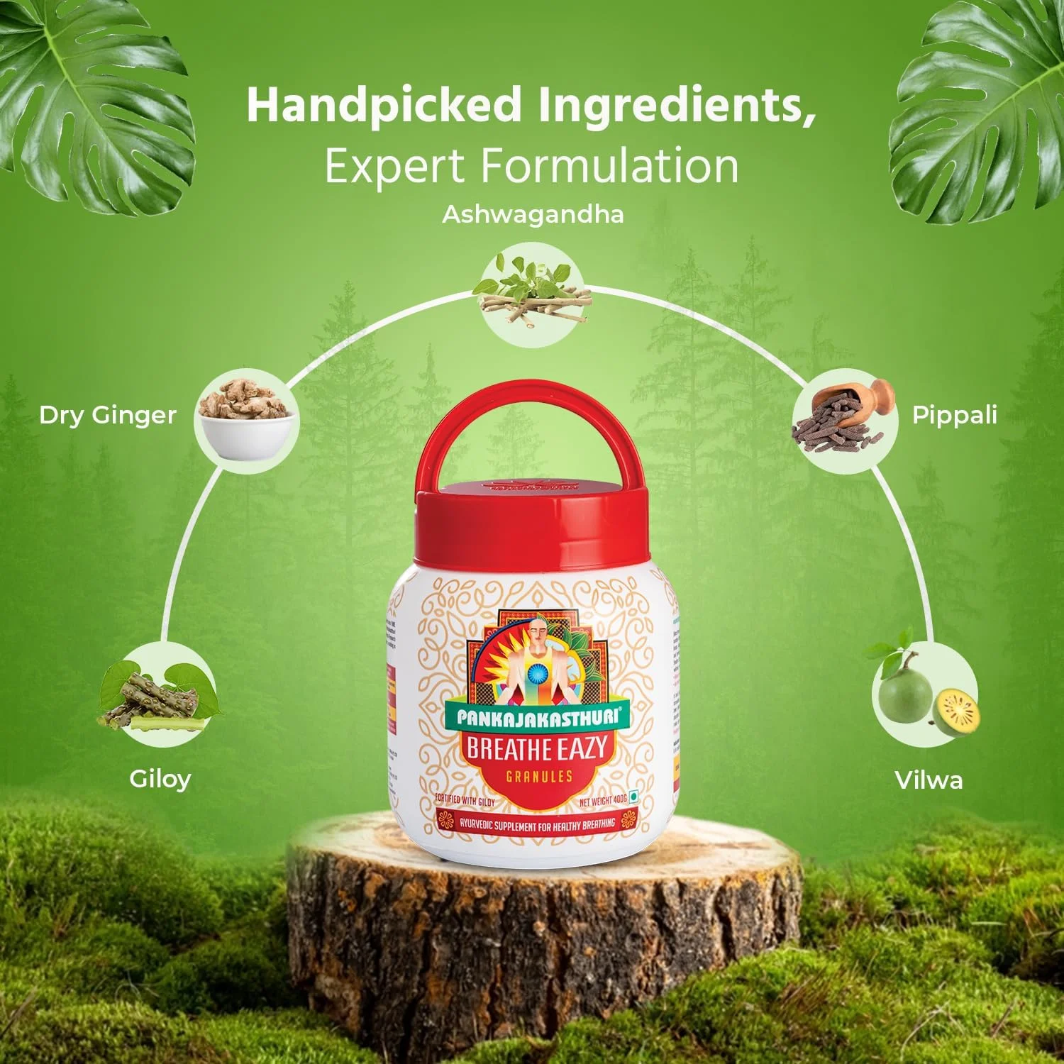 گرانول های گیاهی پانکاجاکاستوری Breathe Eazy - برای اختلالات تنفسی - 400 گرمی توسط پانکاجاکاستوری هربالز