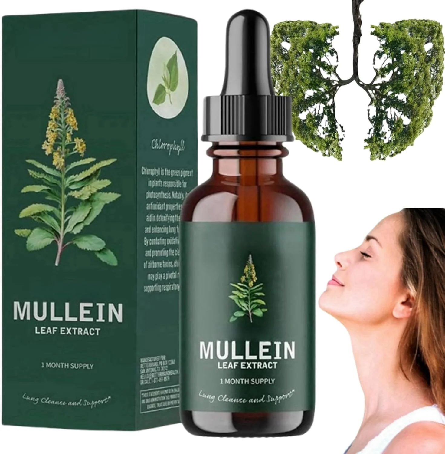 قطره مایع برگ خرگوشک، عصاره برگ خرگوشک برای ریه ها، قطره خرگوشک، پاکسازی ریه برای سلامت ریه، پشتیبانی ریه برای جذب سریع