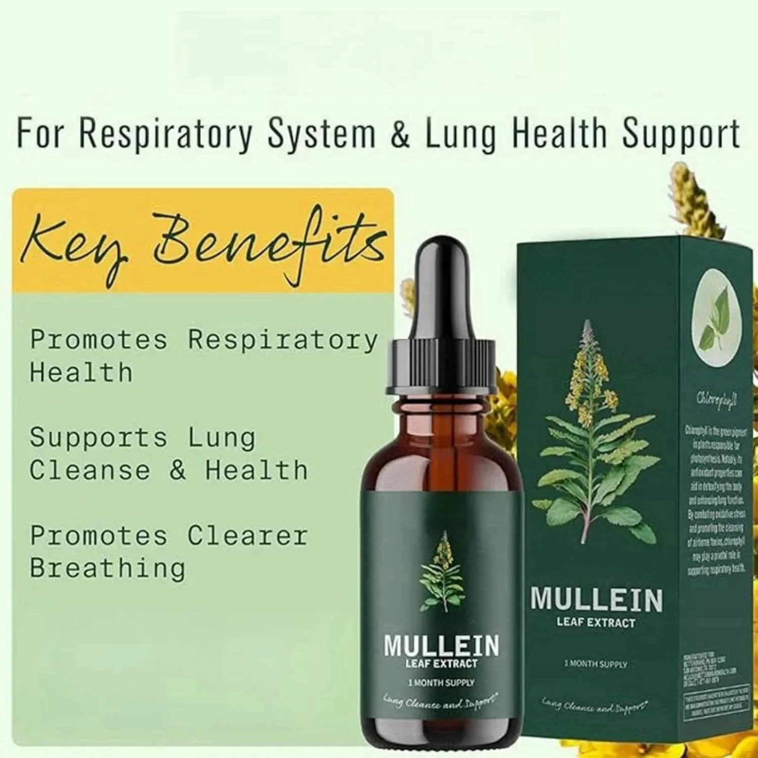 قطره مایع برگ خرگوشک، عصاره برگ خرگوشک برای ریه ها، قطره خرگوشک، پاکسازی ریه برای سلامت ریه، پشتیبانی ریه برای جذب سریع قطره مایع برگ خرگوشک، عصاره برگ خرگوشک برای ریه ها، قطره خرگوشک، پاکسازی ریه برای سلامت ریه، پشتیبانی ریه برای جذب سریع