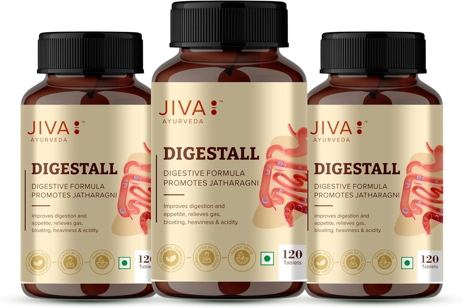 قرص های گیاهی کمک کننده به هضم غذا جیوا - 3 بسته 120 عددی | حاوی اناردانه، ماریچا، هل، تخم گشنیز | کمک به رفع سوء هاضمه، نفخ و اسیدیته