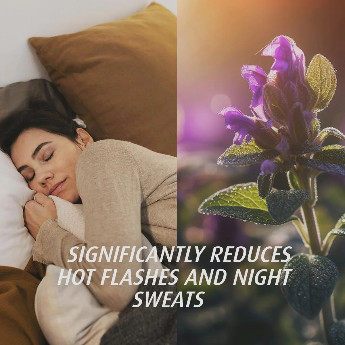 آ. ووگل ارگانیک دوران یائسگی، 90 عدد