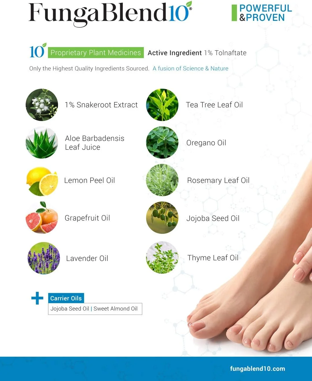فانگا بلند 10 - داروی ضد قارچ: 1% تولنافتات و 10 داروی گیاهی - درمان قارچ ناخن پا برای ژل ترمیم ناخن، پای ورزشکاران، خارش کشاله ران، کرم حلقوی - محلول موضعی برای ناخن انگشت پا و دست
