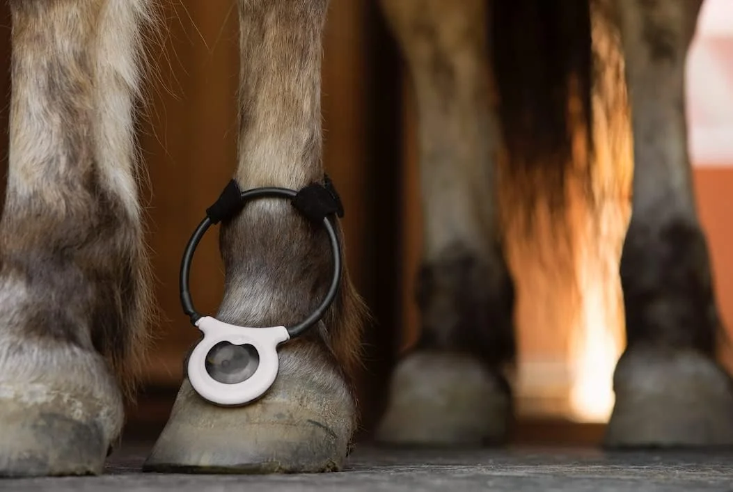 دستگاه آسیسی لوپ 2.0 دستی سایز 10 سانتی متر، درمان بدون دارو، مناسب برای درمان درد و التهاب حاد یا مزمن، 150 مرتبه استفاده (تک بسته ای)