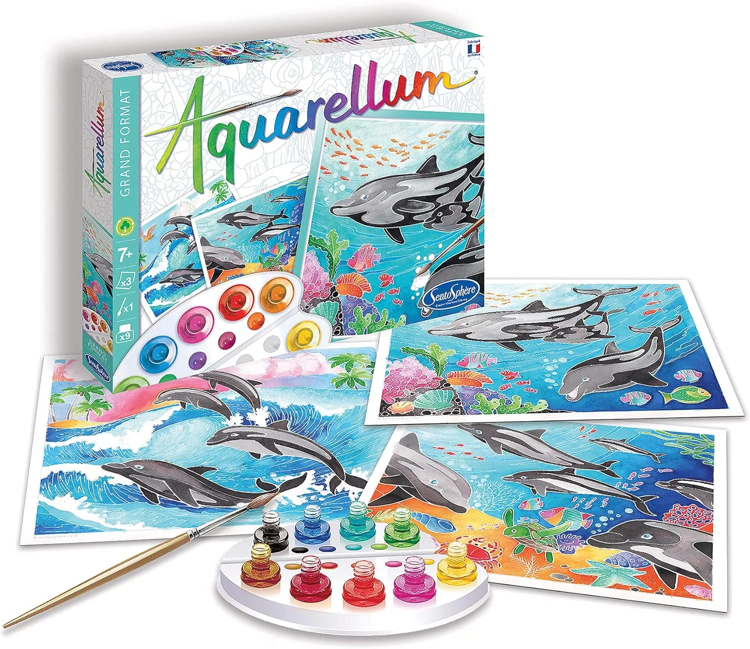 مجموعه نقاشی آبرنگ دلفین ها مدل Sentosphère 3906220