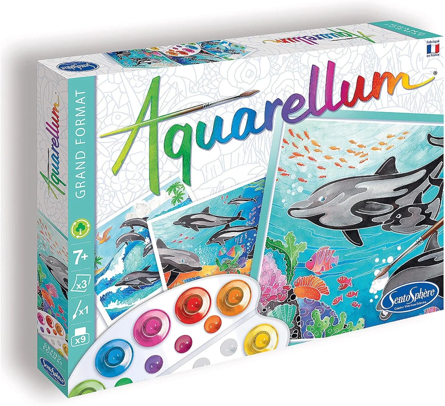 مجموعه نقاشی آبرنگ دلفین ها مدل Sentosphère 3906220