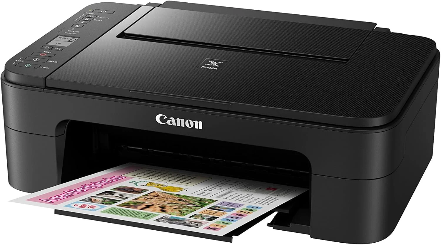 پرینتر جوهرافشان چندکاره کانن مدل TS3150 PIXMA - مشکی