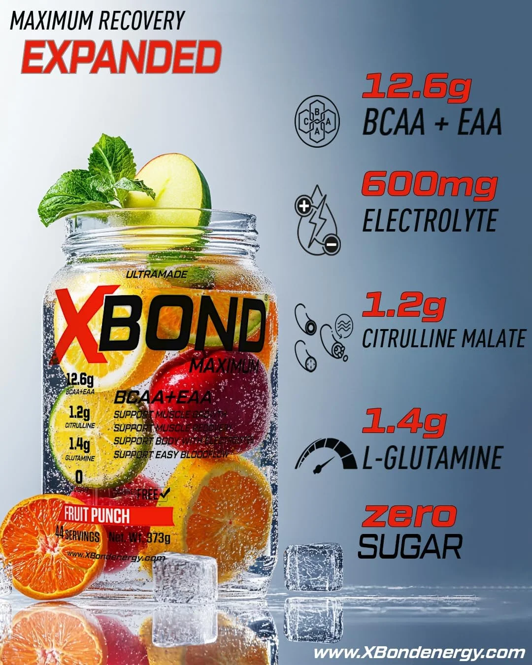 ایکس باند ماکزیمم BCAA+EAA – 12.6 گرم آمینو اسید – ریکاوری عضلات و آبرسانی – بدون شکر – 44 سروینگ (44 سروینگ، پانچ میوه)