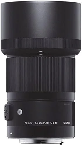 لنز ماکرو سیگما 70mm F2.8 DG Art برای مانت L - تصویر 3 لنز ماکرو سیگما 70mm F2.8 DG Art برای مانت L - تصویر 3