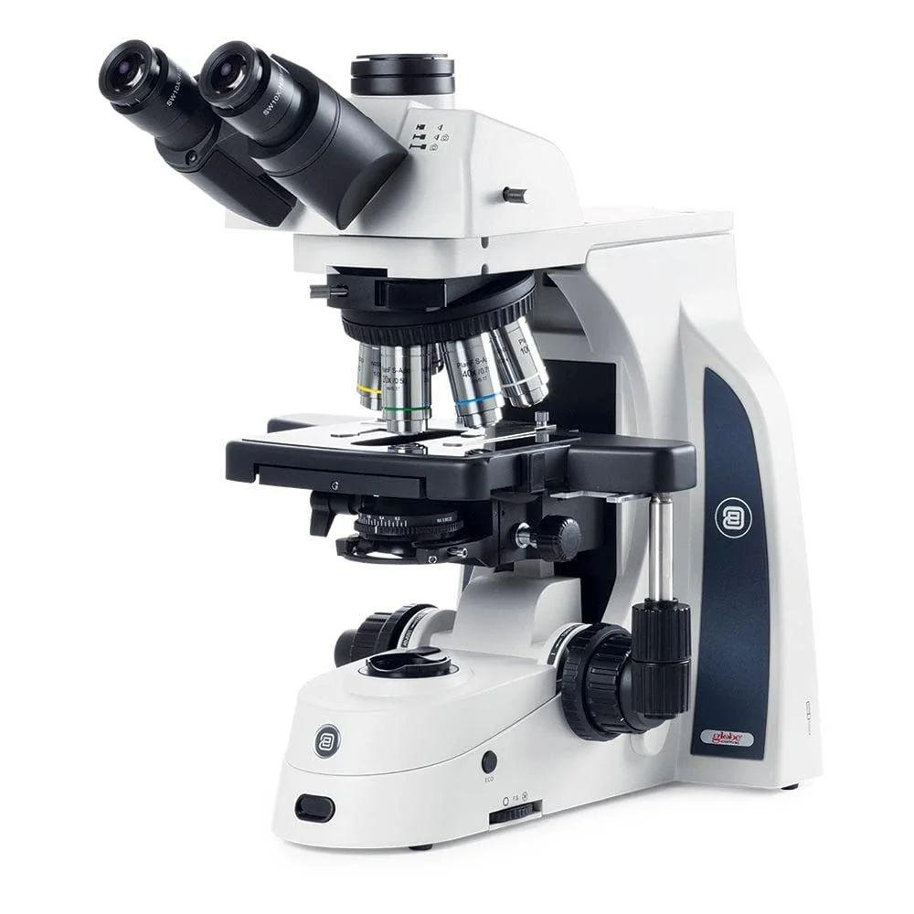میکروسکوپ آزمایشگاهی سه چشمی یورومکس Delphi-X Observer آناتوموپاتولوژی