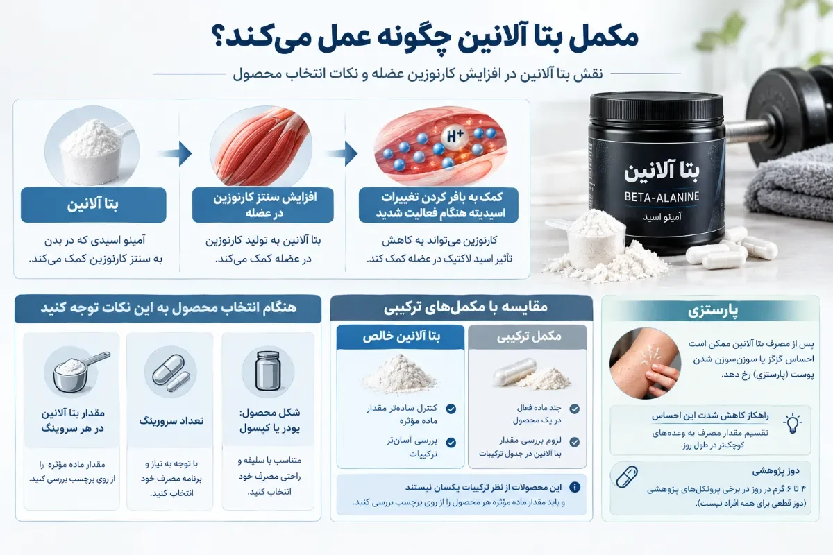 راهنمای-انتخاب-مکمل-بتا-آلانین