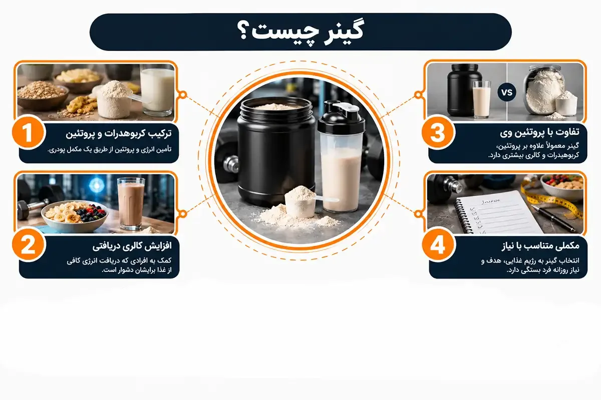 انواع گینر چیست