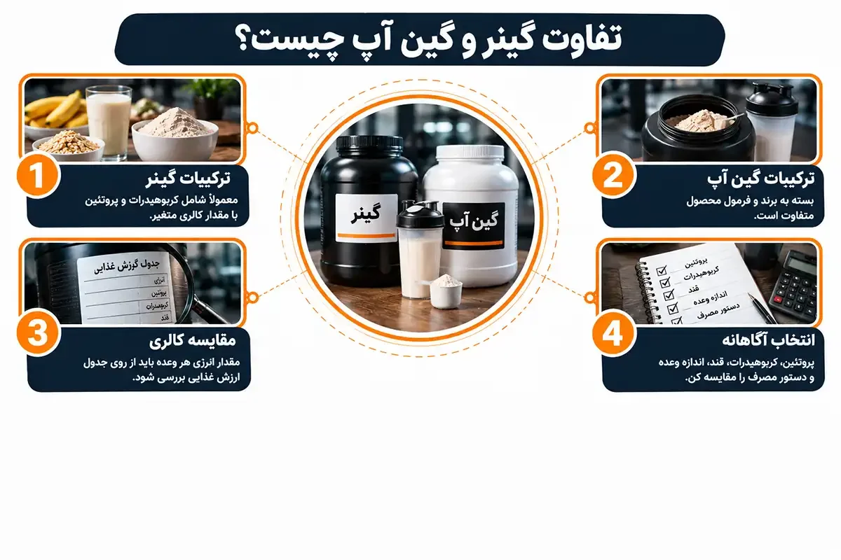 تفاوت انواع گینر و گین آپ
